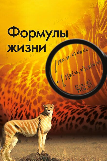 Формулы жизни