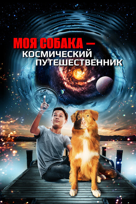 Моя собака — космический путешественник