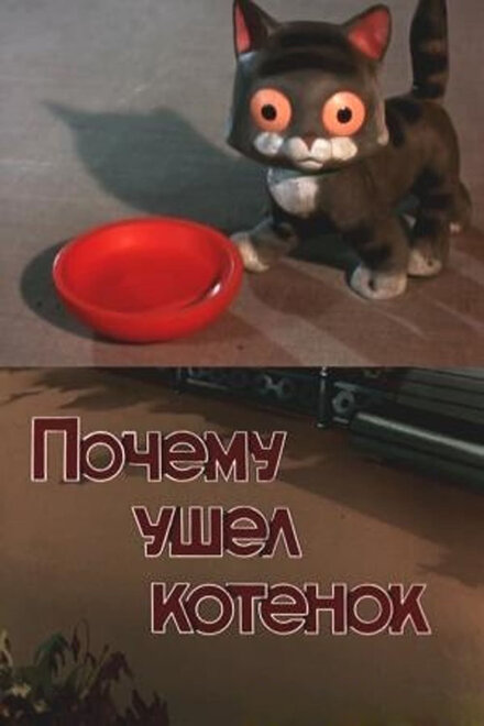 Почему ушел котенок